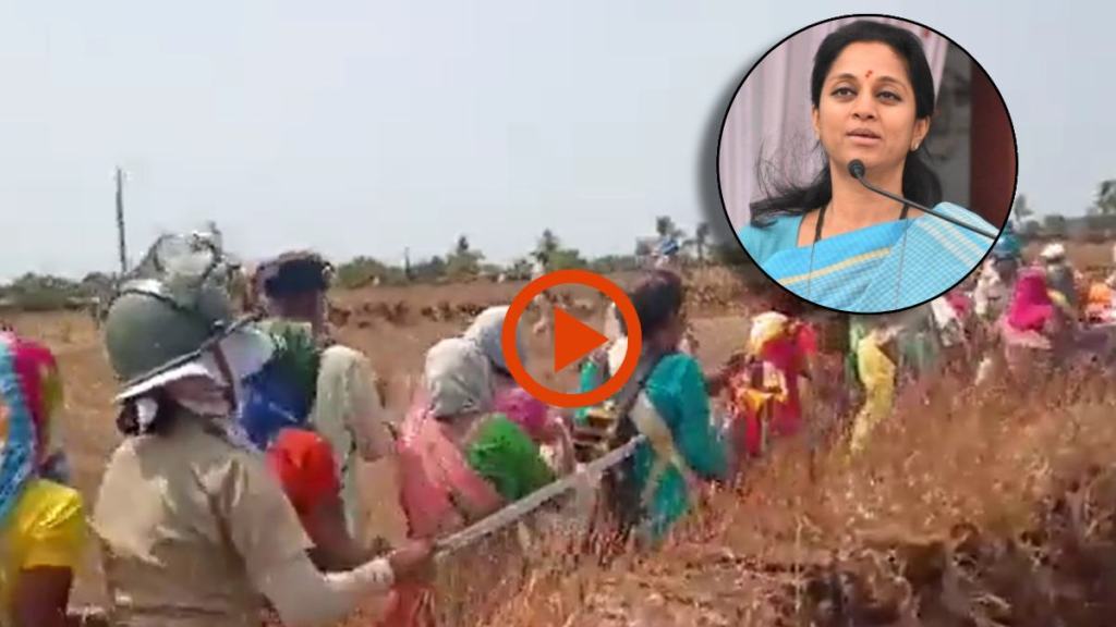 supriya sule on barsu refinery project