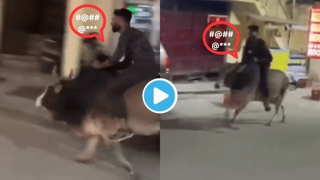 Video Drunk Man Rides Bull On Road In Full Speed Police Reacts To Threatening Stunt People Call Him Stupid and Shameless