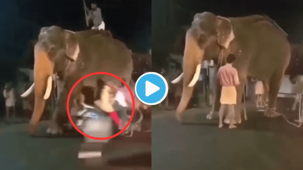 Video Scooty Girl Bangs Bike On Elephant, Throws Owner In Air, Elephant Reaction Shocks People,