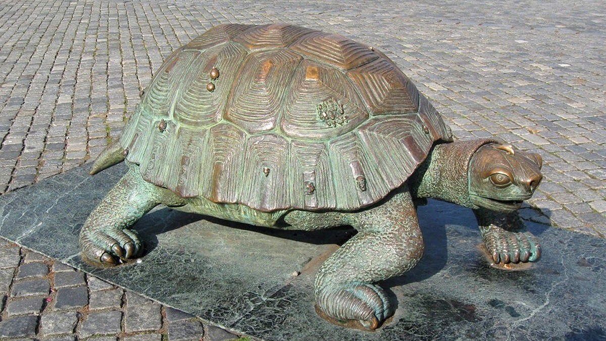 Hindu Temples_Tortoise_Vastu Shastra_Loksatta