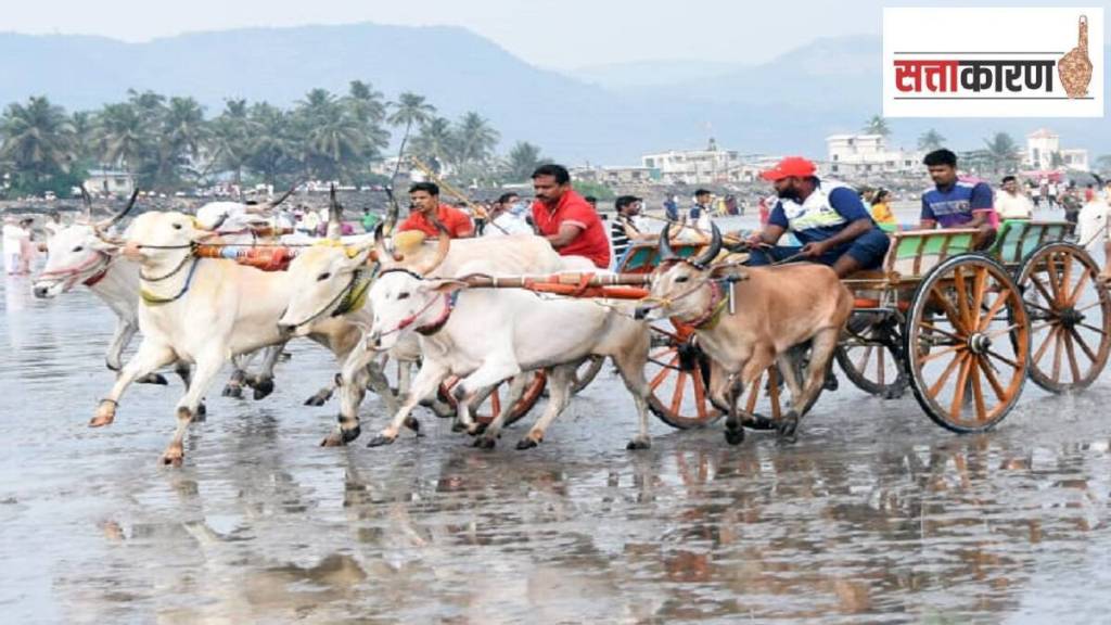 bullock cart competitions Raigad