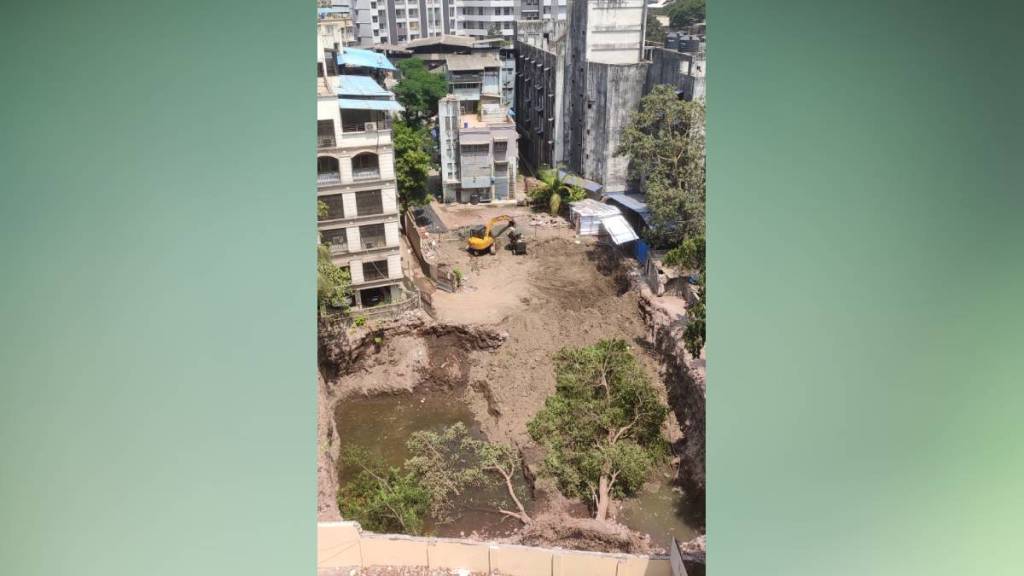 Developer cuts old trees kalyan