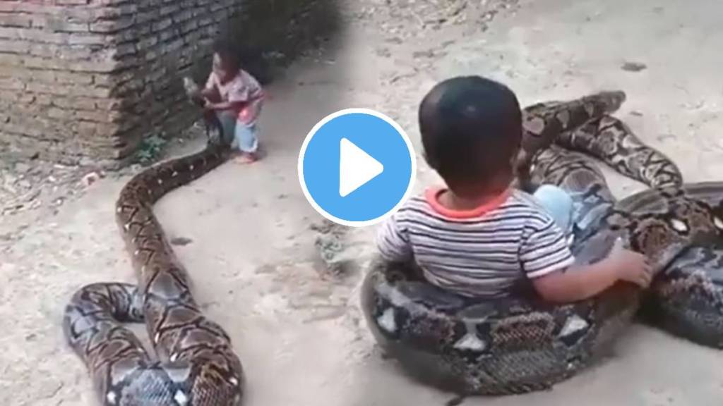 python and kid Viral Video