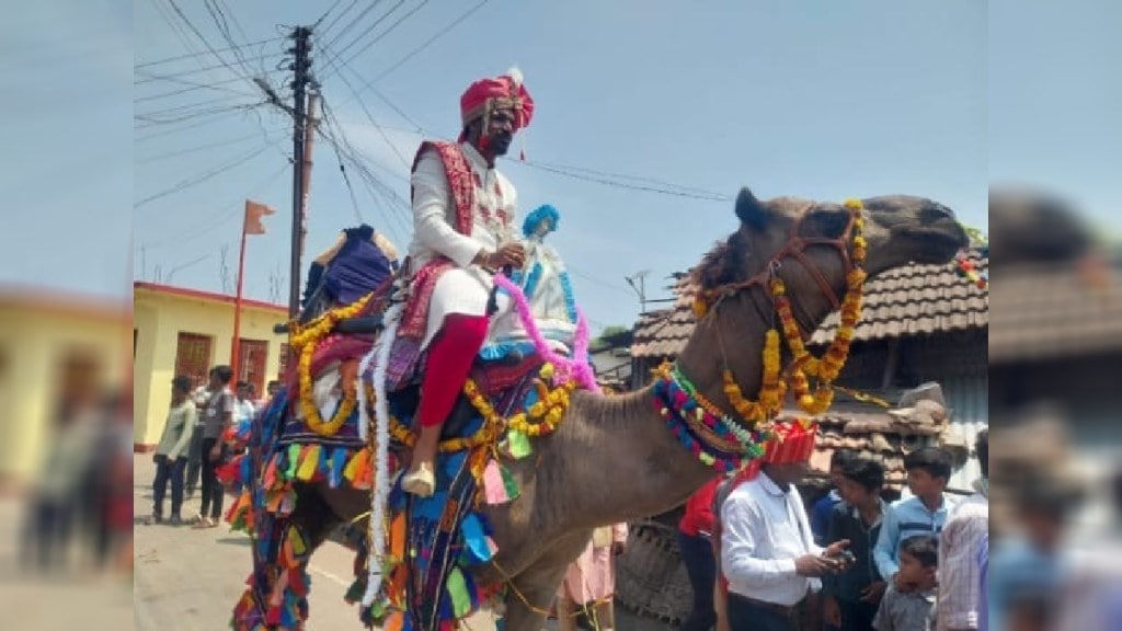 The bridegroom has set out on a camel at Bhadravati