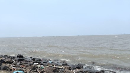 Pirwadi area of ​​Uran