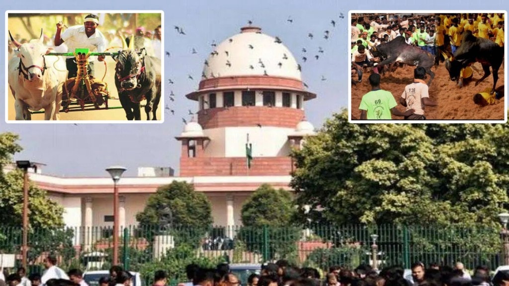 Supreme Court Permission to Bullock Cart Race