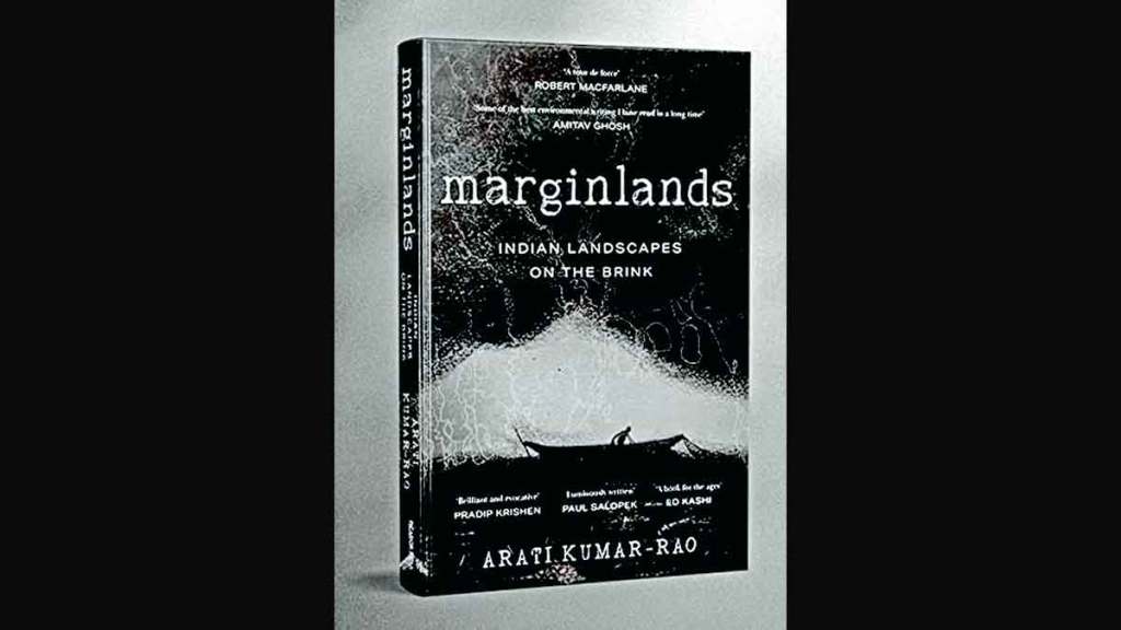 book marginlands by author arati kumar rao