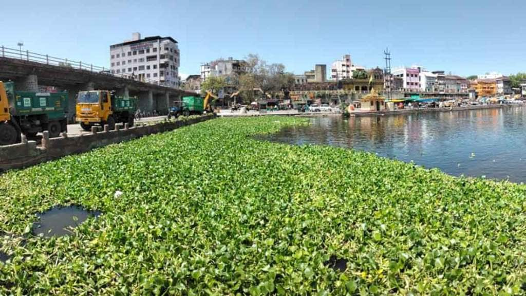 rivers including godavari getting polluted