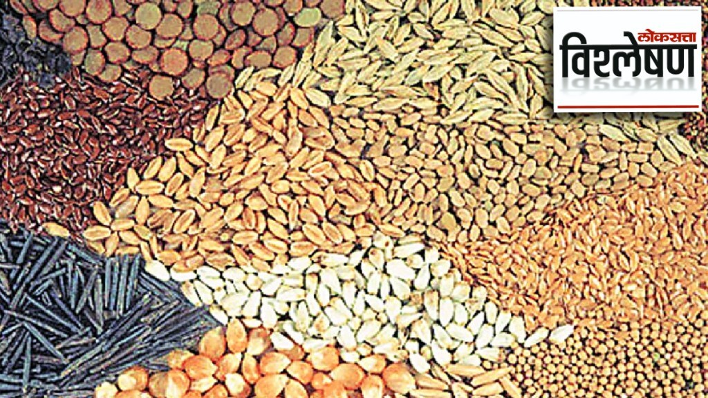 seeds market