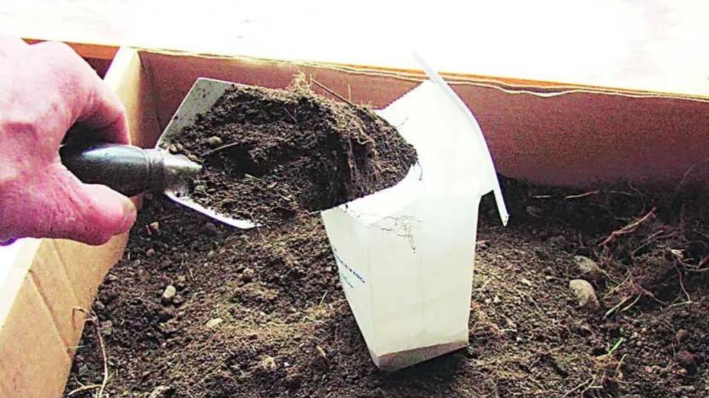 soil examination