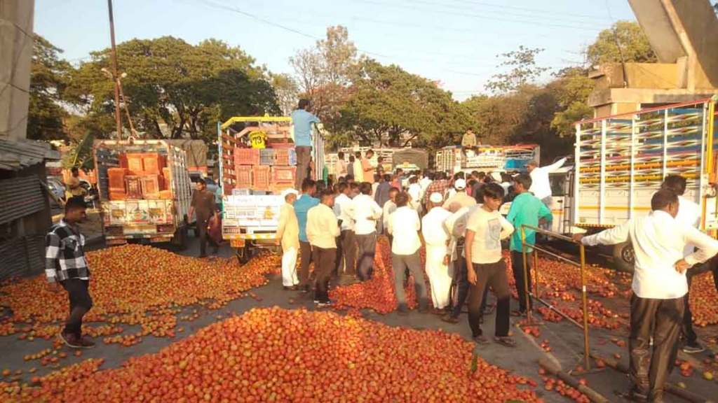 angry farmers protest by throwing tomatoes