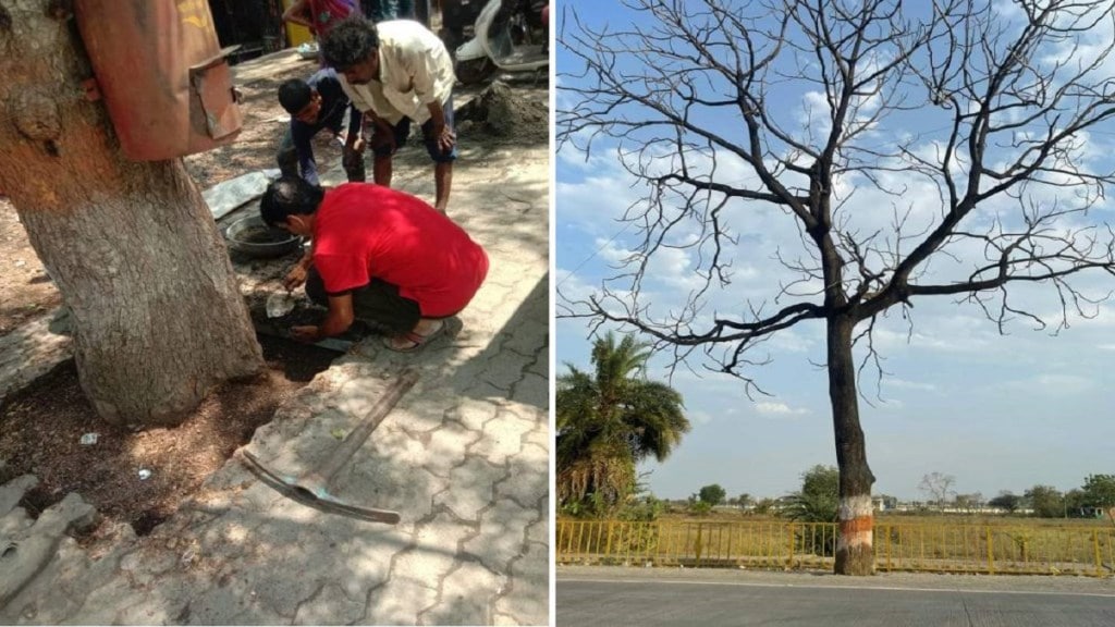 paver blocks in Wardha