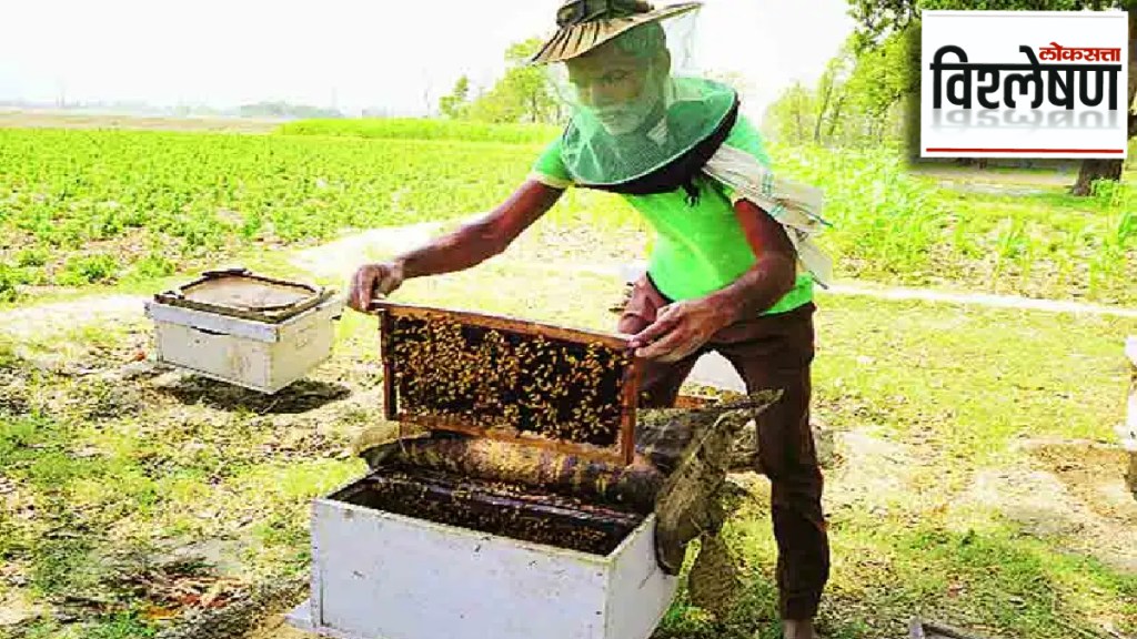 world honey bee day