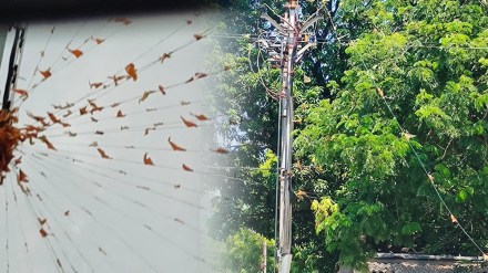 Ignorance, Nagpur Municipal Corporation, Pylons, flags of political parties, hanging on wires and poles, dangerous, cyclists, bikers