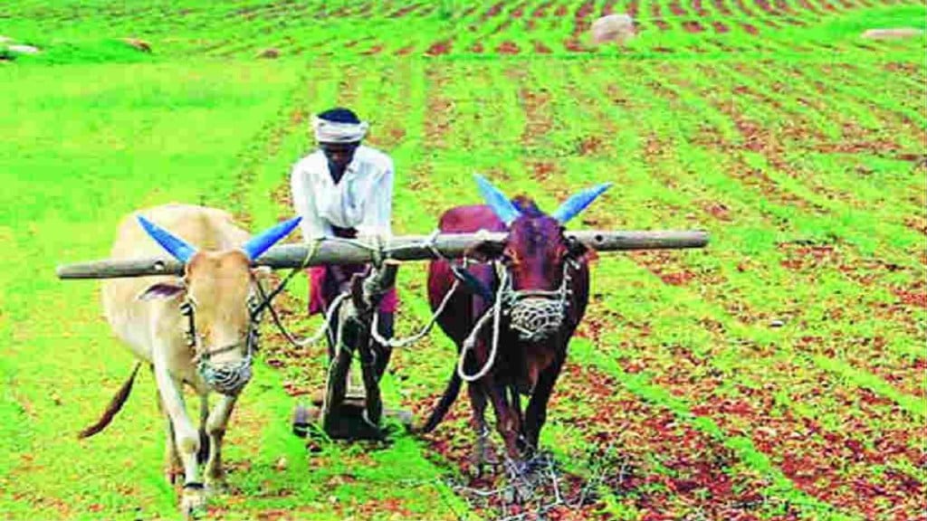 Sale of bogus fertilizer yavatmal