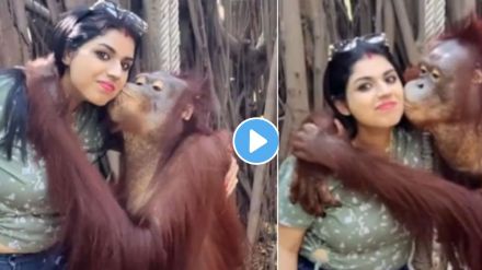 Monkey vs Girl Video Viral