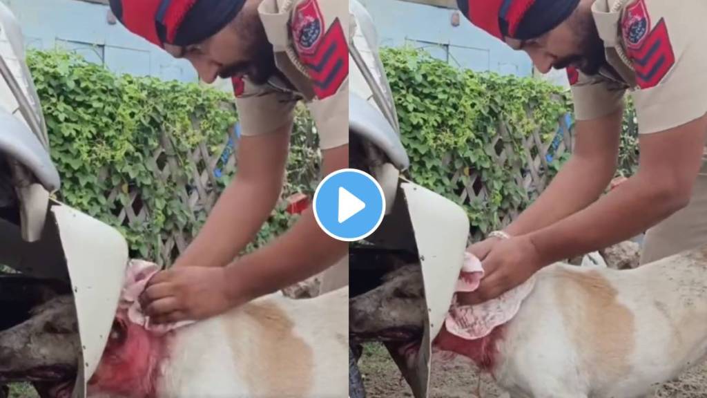 Amritsar Police shares heartwarming rescue video of a stray dog. Salute, says internet