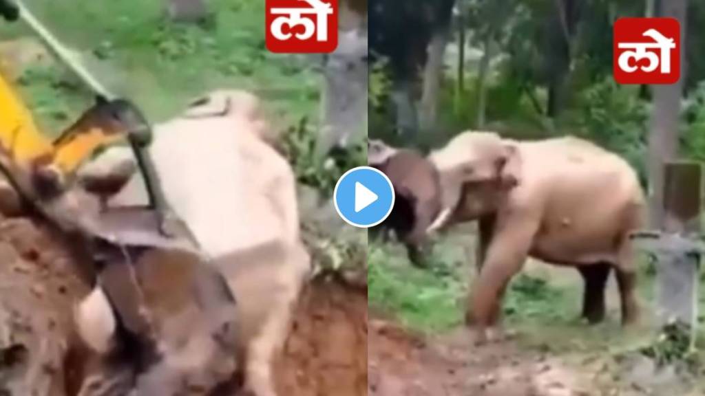 Elephant got stuck in a pit people saved its life using jcb video viral on social media