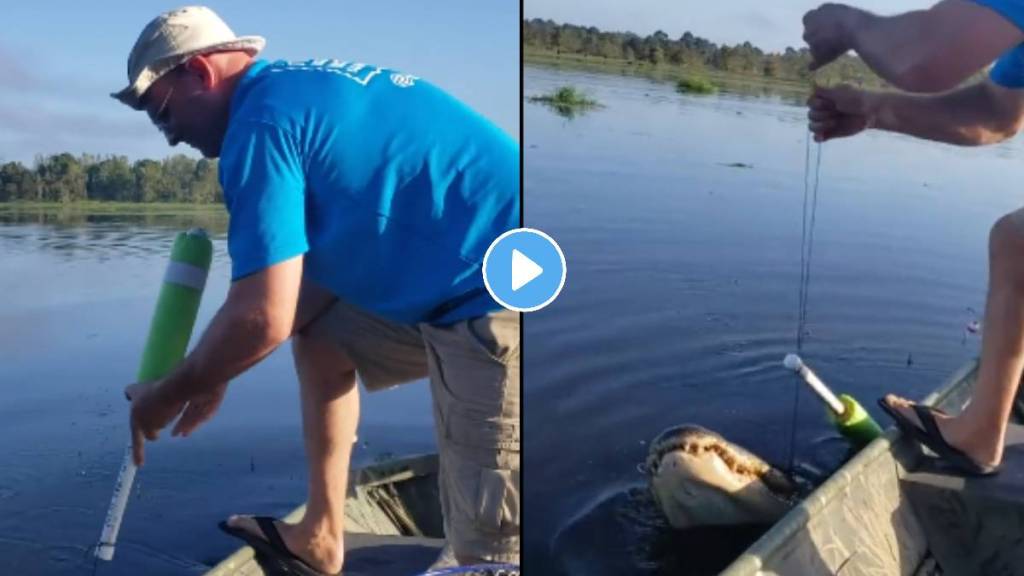 fish went to catch the crocodile shocking video viral on social media Catfishing trending