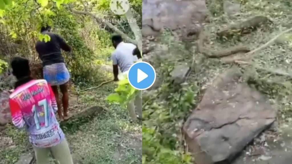 men catch giant snake attack video viral