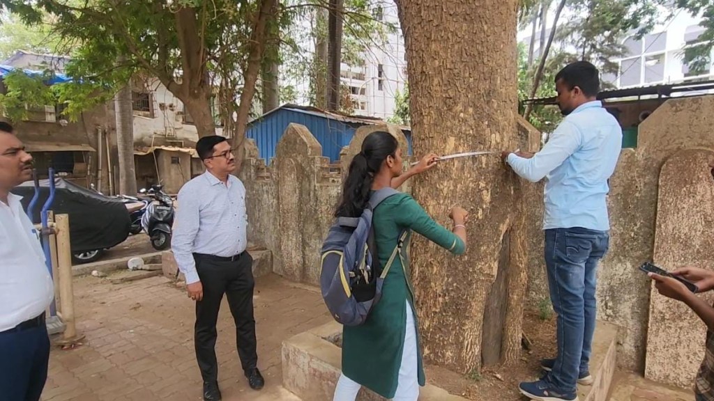 Starting tree enumeration in Kalyan Dombivli municipal limits