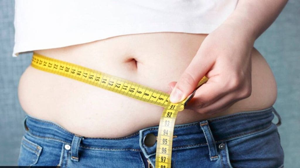 Diet Tips For Belly Fat loss