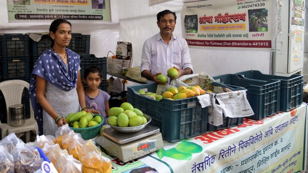 mango production