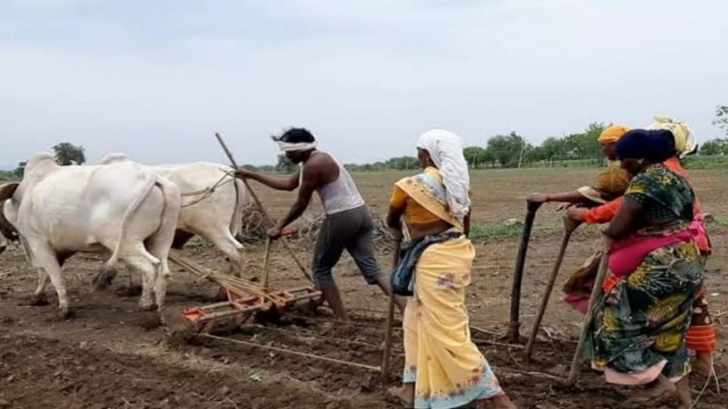 Farmers Gondia rain