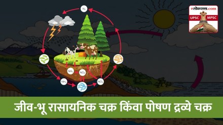 biogeochemical cycle, biogeochemical cycles upsc