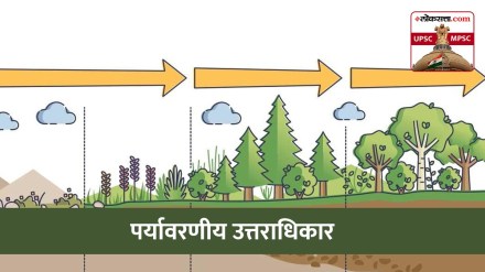 ecological succession