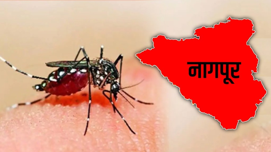 dengue Nagpur patients