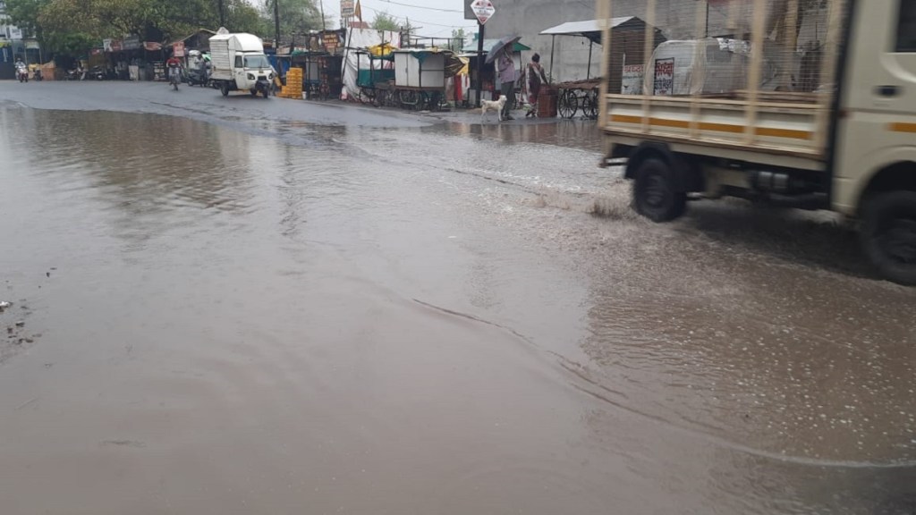 Heavy rains Vidarbha