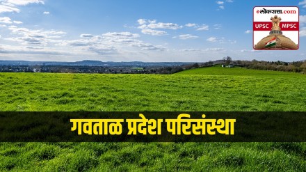 grassland ecosystem In Marathi