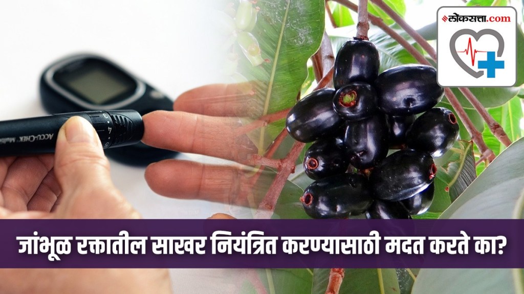 Why jamun fruit seed powder and skin helps control blood sugar