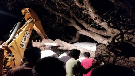 tree fell on police vehicle Erandol taluka