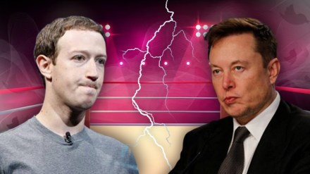 elon musk mark zuckerberg cage fight