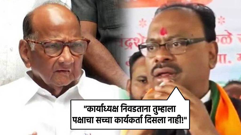 chandrashekhar bawankule sharad pawar (1)