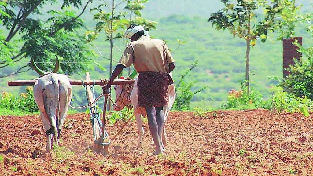 farmer