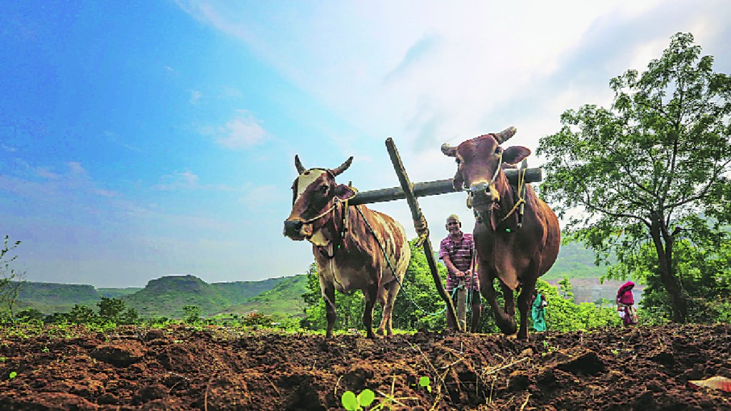 farmer