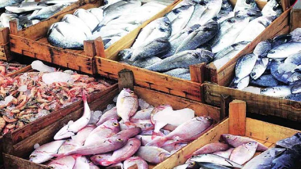 decrease in fish prices pune