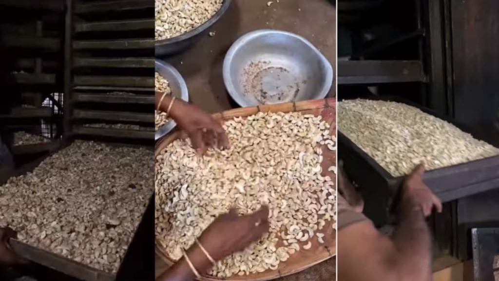 How Cashews or kaju made know whole processing in viral video