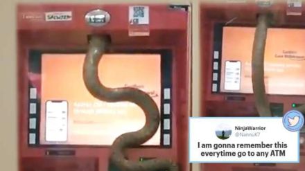 Video of snake slithering inside Ghaziabad ATM goes viral snk 94