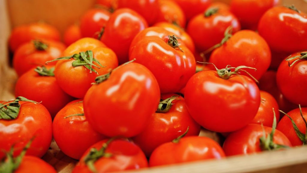 tips to store tomato