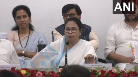 mamata banerjee