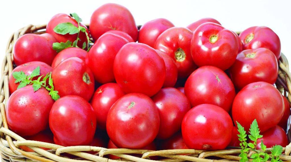 tomato prices increase in vashi apmc market