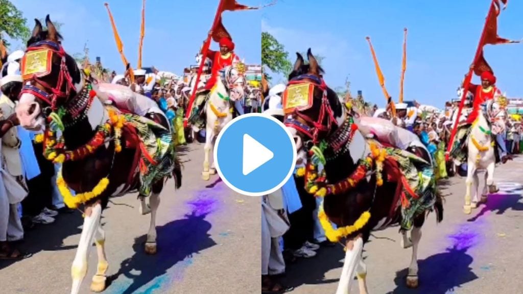 Saint Dnyaneshwar Maharaj Palkhi Sohala Ringan sohala video goes viral