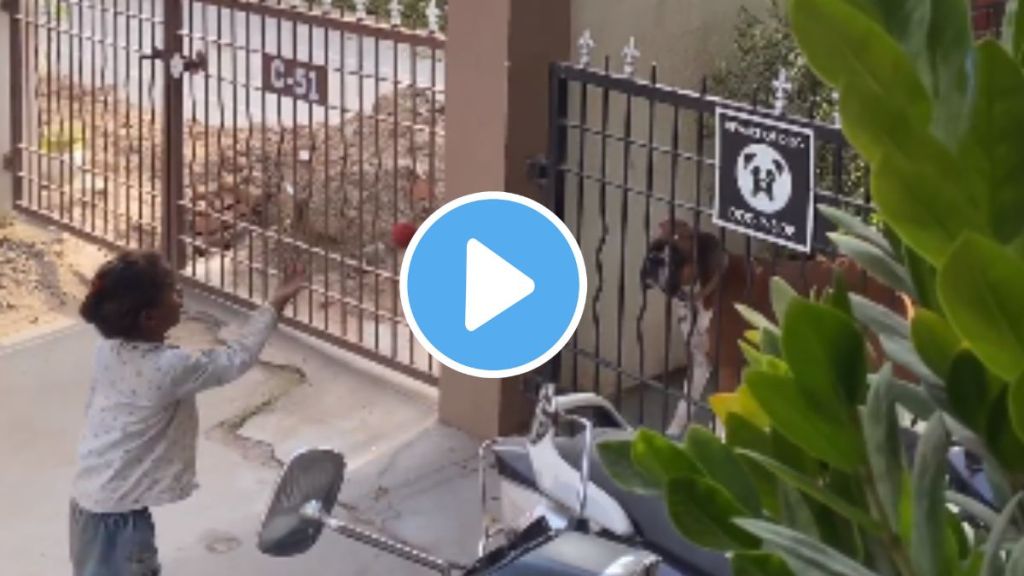 a homeless girl friendship with pet dog heart touching video goes viral