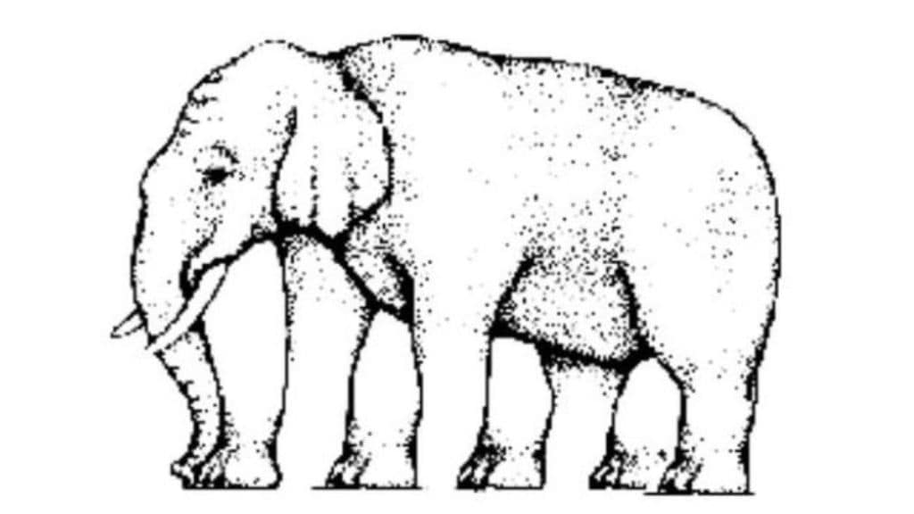 Optical Illusion How many legs does this elephant have