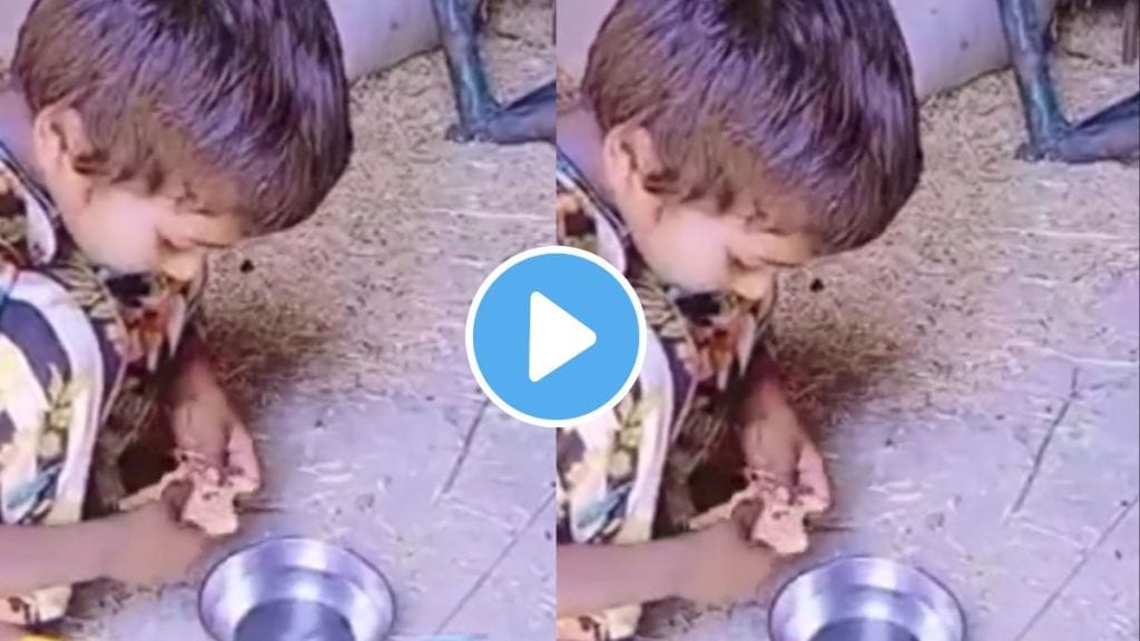 a girl eating poli with water emotional video goes viral reality in india netizens said