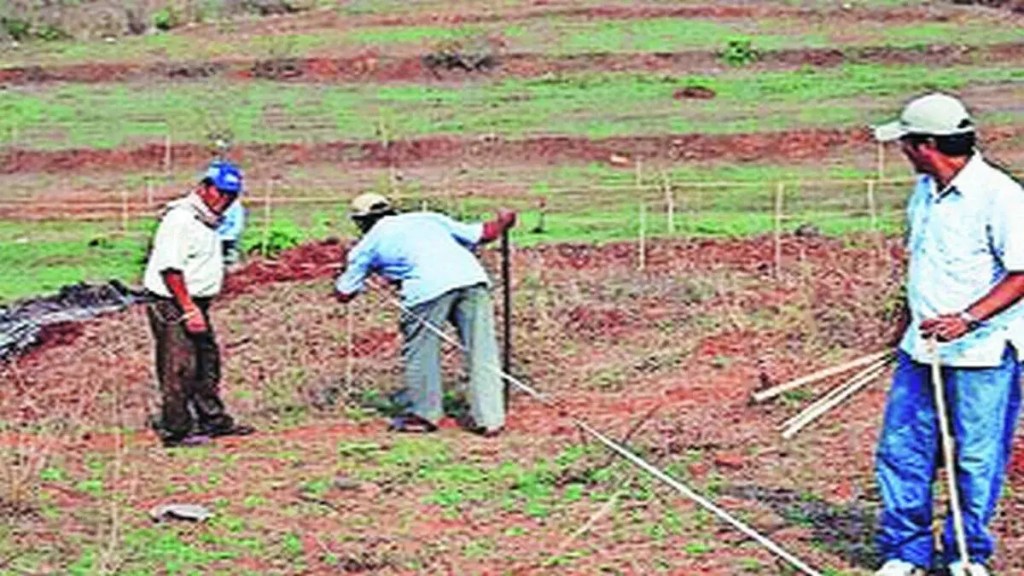 forest land gondia